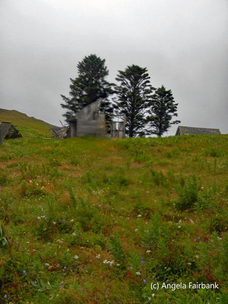 half a house on hill