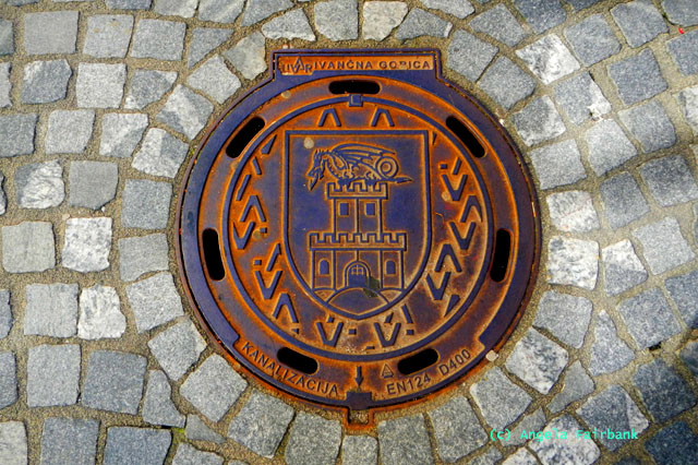 drain cover with city emblem