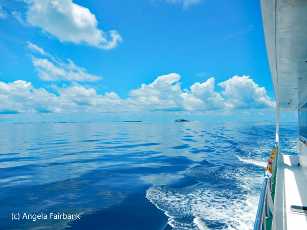 sea with boat
