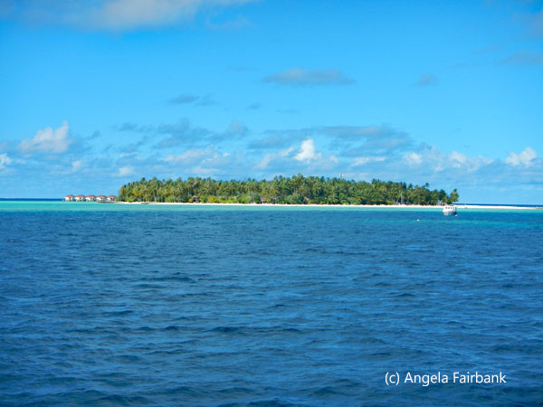 island in the sun