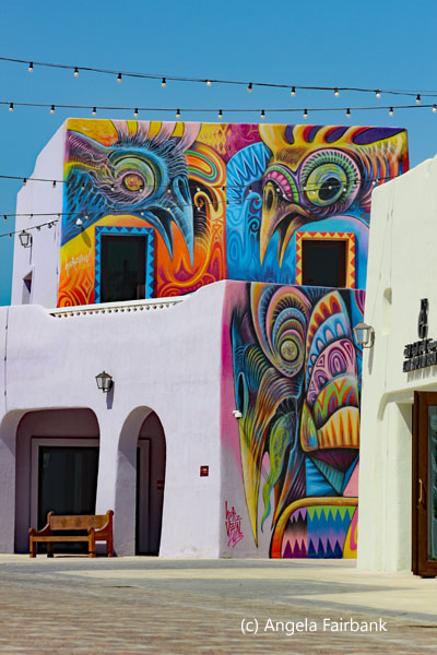 colourful birds street art