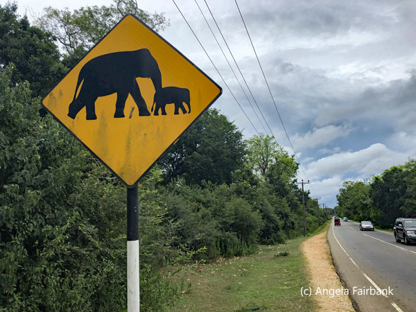elephant crossing sign