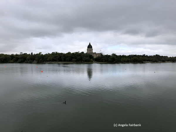 legislature